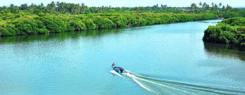 Negombo:Dutch Canal, Lagoon, Muthurajawela Private Boat Tour - Who Will Love This Tour?