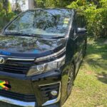 Negril Airport Transfer - Authentic Insights from Traveler Feedback