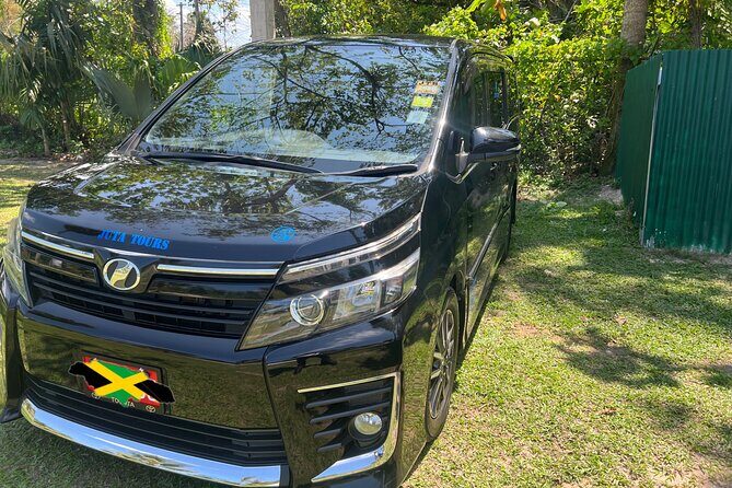 Negril Airport Transfer - Authentic Insights from Traveler Feedback