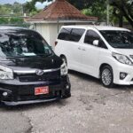 Negril Private Airport Transfer - Practical Details and Booking Tips