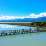Nelson to Mapua: Full-Day Cycling Self-Guided Adventure - Practical Details and What You Need to Know