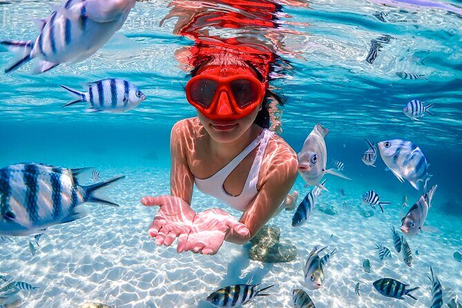 Nemo Island and Big Buddha Mountain Snorkeling from Bangkok - What Travelers Can Expect in Practice