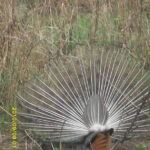 Nepal: Kathmandu and Chitwan National Park Tour - Journey from Kathmandu to Chitwan