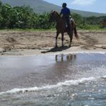 Nevis: Private Horseback Ride and Swim in the Caribbean Sea - Practical Details and Considerations