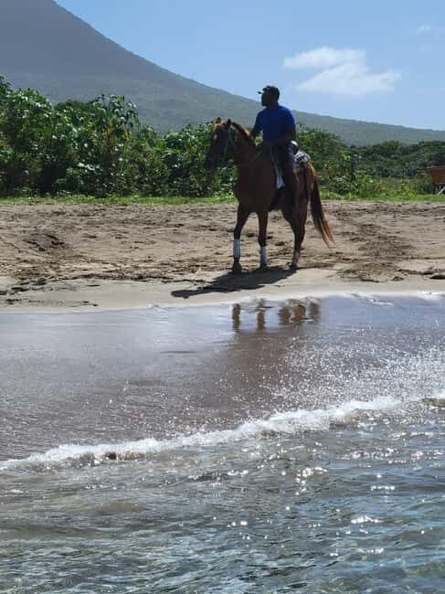 Nevis: Private Horseback Ride and Swim in the Caribbean Sea - Practical Details and Considerations