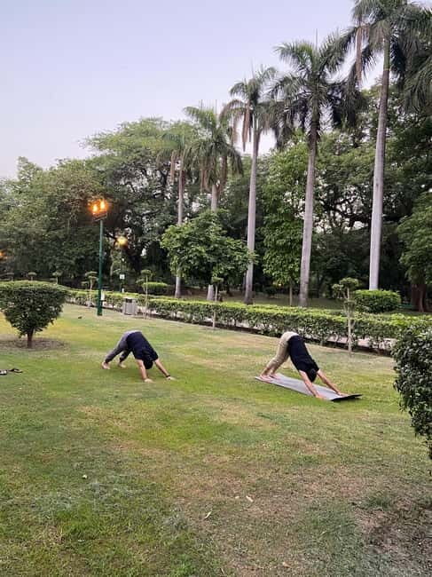 New Delhi: Soul Soothening Sun Yoga in Lodhi Gardens - What You Can Expect from the Tour