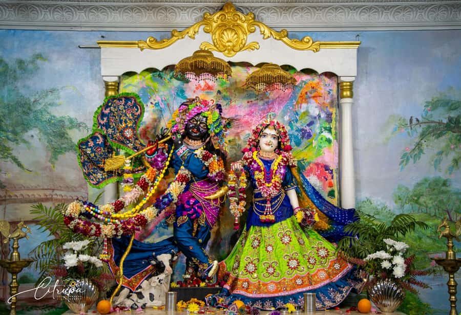 New Gokula Farm, Cessnock & Newcastle Day Tour from Sydney - Who Is This Tour Best For?