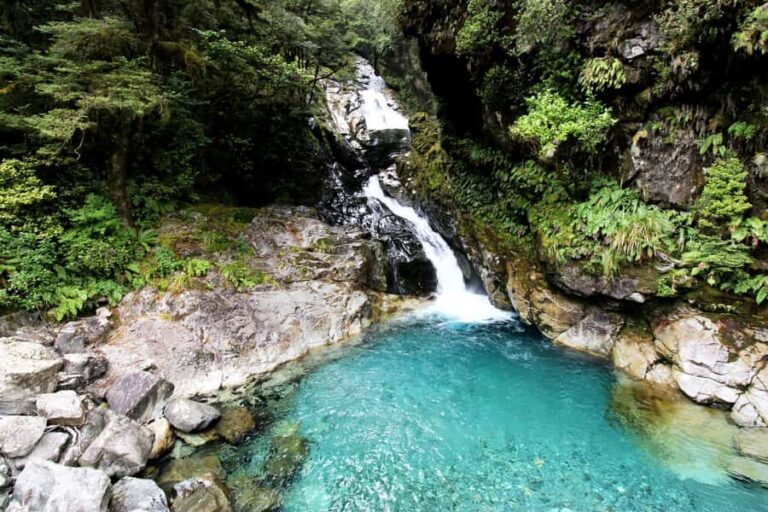 New Zealand: 9-Day Private Tour with 14-16 Activities - Practical Considerations: Transportation, Cost, and Comfort