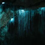 New Zealand: Milky Way Glowworm Cave Tour - Authentic Experiences and Genuine Insights from Reviews