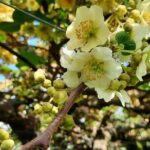 New Zealand Tauranga Tour with Transportation and Snacks - Transportation and Group Size