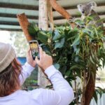 Newcastle: Animal Lovers Tour - Kangaroos, Dolphins & more! - An In-Depth Look at the Tour Experience