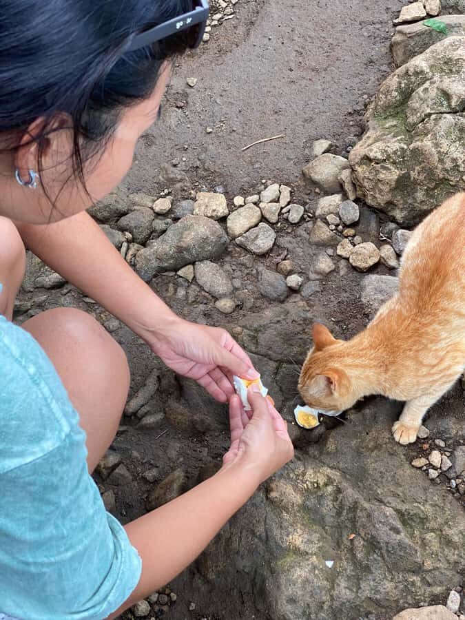 Ngglangeran Acien Volcano Soft Trekking-Pindul Cave Tubing - The Practicalities
