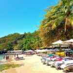 Nha Trang Bay Day Tour: Snorkeling, Fishing, BBQ Lunch & Relaxing - What to Expect From the Snorkeling and Marine Environment