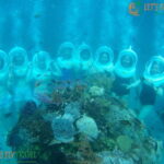 Nha Trang City Sightseeing Tour: Nha Phu Bay, Monkey Island - Encountering Wildlife and Exotic Animals