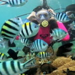 Nha Trang Coral Adventure Snorkeling and Floating Bar Experience - Itinerary Breakdown: What You Can Expect