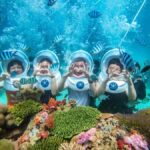 Nha Trang: Coral Bay Sea Walking Tour with Lunch - Discovering Coral Bay and Its Underwater Charm