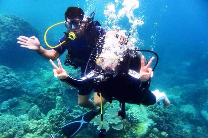 Nha Trang Coral Reefs Scuba Diving Experience with Lunch - Final Thoughts: Is It Worth It?