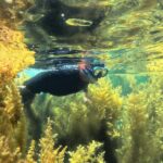 Nha Trang Half-Day Snorkeling Adventure at Marine Park with BBQ - What Past Travelers Say