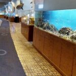 Nha Trang Half Day Tour: Best Highlights & Secret Spots - Final Thoughts