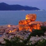 Nha Trang Highlights Tour Top Sights and Hidden Gems - Practical Aspects and Value