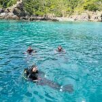Nha Trang Scuba Diving Tour: 2 Dives for Beginners at Marine Park - Why This Tour Offers Great Value