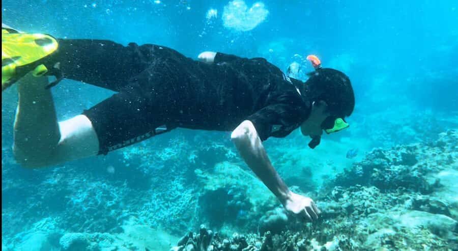 Nha Trang: Snorkeling at Marine Park with Lunch - Who Would Love This Tour?