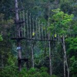 Nha Trang Zipline Canopy Adventure  Jungle Flight Experience - Practical Tips for Your Visit