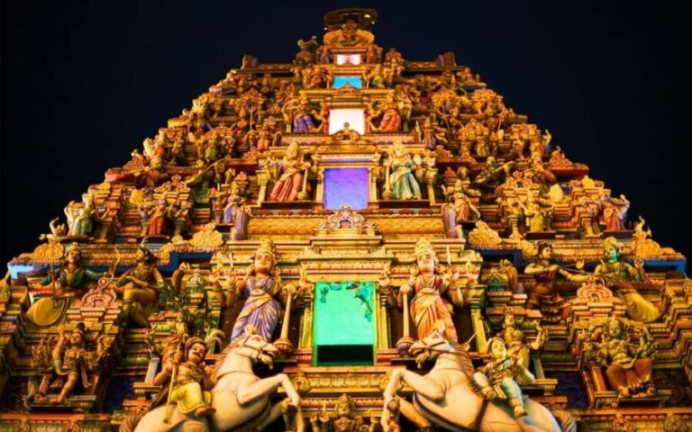Night Ceremony at Madurai Meenakshi Amman Temple Tour - Who Should Consider This Tour?