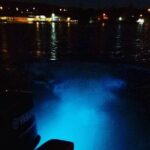 Night Excursion Experience at Luminous Lagoon - Final Thoughts