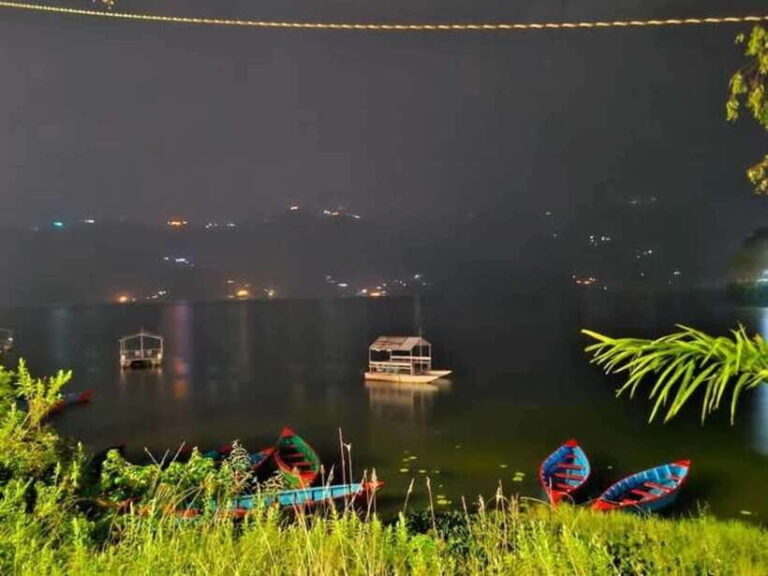 Night Light Guided Tour - Why This Tour Stands Out