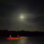 Night Mangrove Kayak Tour - Why This Tour Works Well