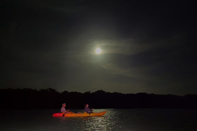 Night Mangrove Kayak Tour - Why This Tour Works Well