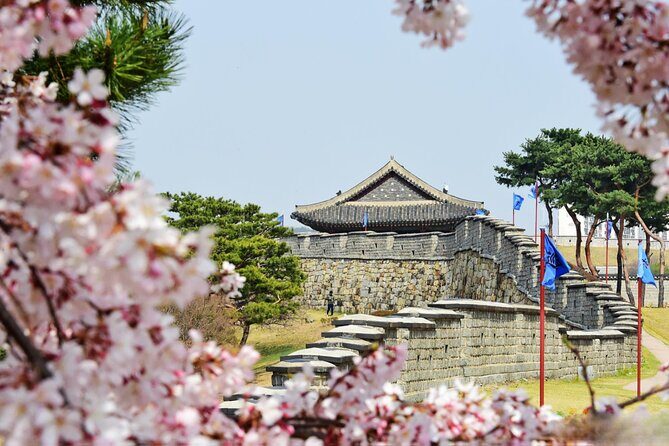 [Night Private Tour] Suwon Cherry Blossom & Hwaseong Fortress - Transportation and Logistics