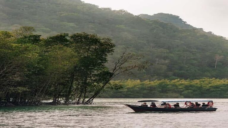 Night Safari Mangrove Tour with Guide & BBQ Buffet - What to Expect Throughout the Tour