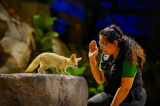 Night Safari Singapore Skip the Line Tickets with Tram Ride - Practical Aspects: Transportation, Timing, and Group Size