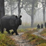 Night Stay in Chitwan National Park, 2 Nights 3 Days Package - Who Should Consider This Tour?