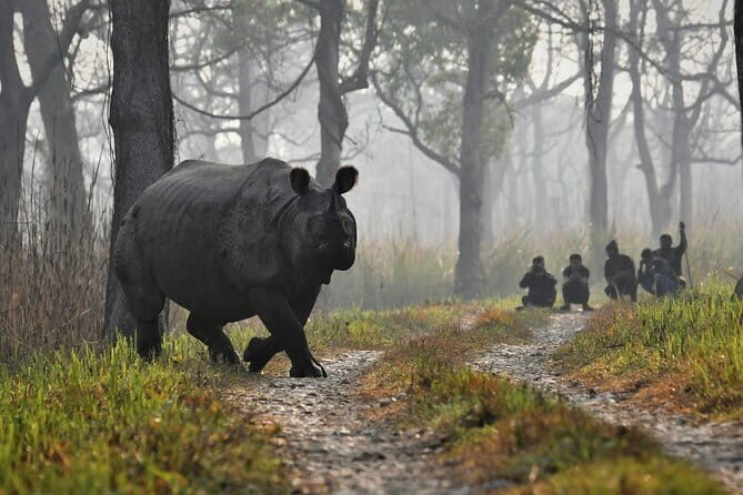 Night Stay in Chitwan National Park, 2 Nights 3 Days Package - Who Should Consider This Tour?