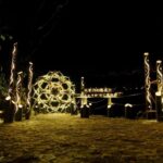 Night Tour: Akiyoshido Cave Night Tour with Bamboo Lights - What to Expect During the Tour