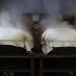 Nihonmatsu: Daishichi Sake Brewery Tour and Tasting - The Value of the Experience