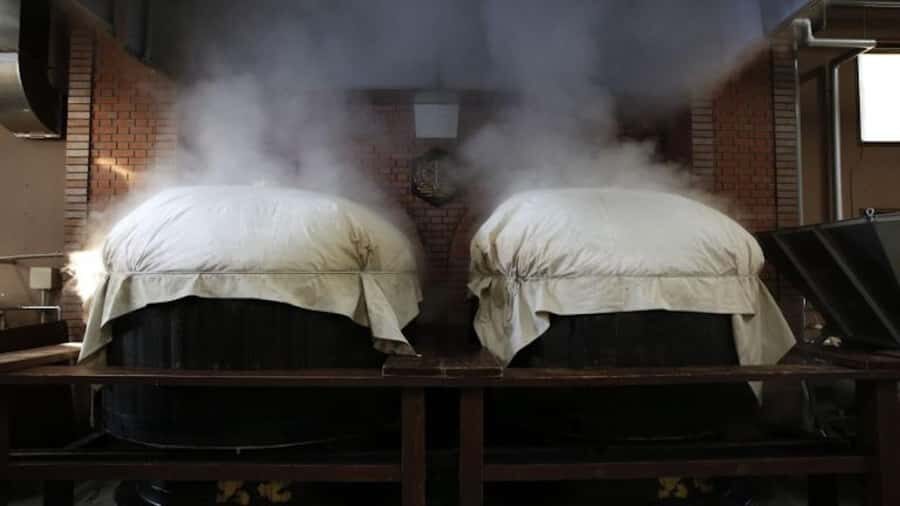 Nihonmatsu: Daishichi Sake Brewery Tour and Tasting - The Value of the Experience