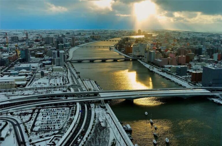 Niigata Full-Day Private Tour with Government-Licensed Guide - Who Would Love This Tour?