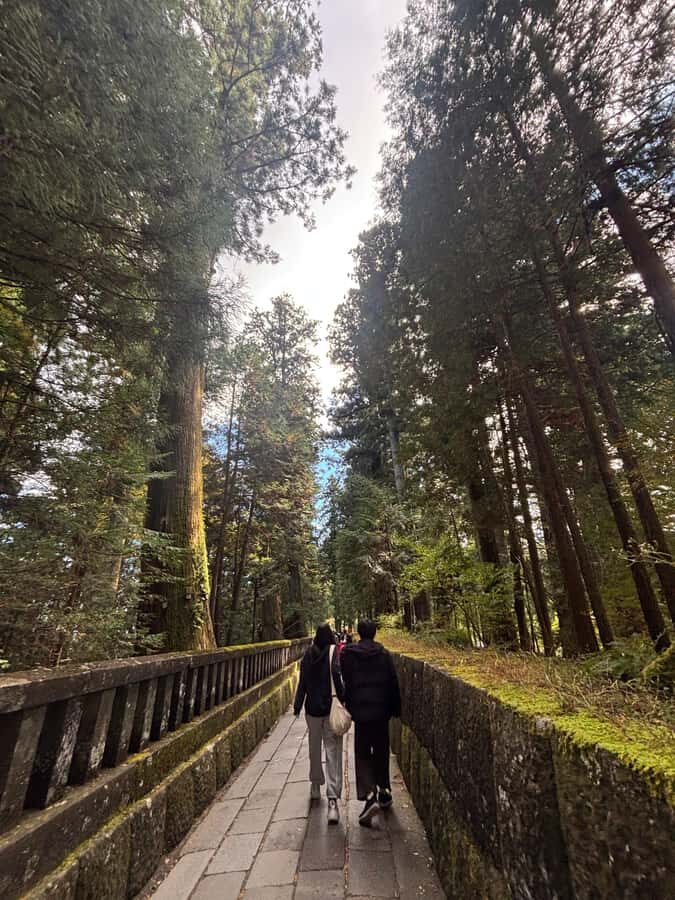 Nikko: a guided tour of the UNESCO World Heritage shrine, nestled in the forest - Transport and Duration: What Really Matters