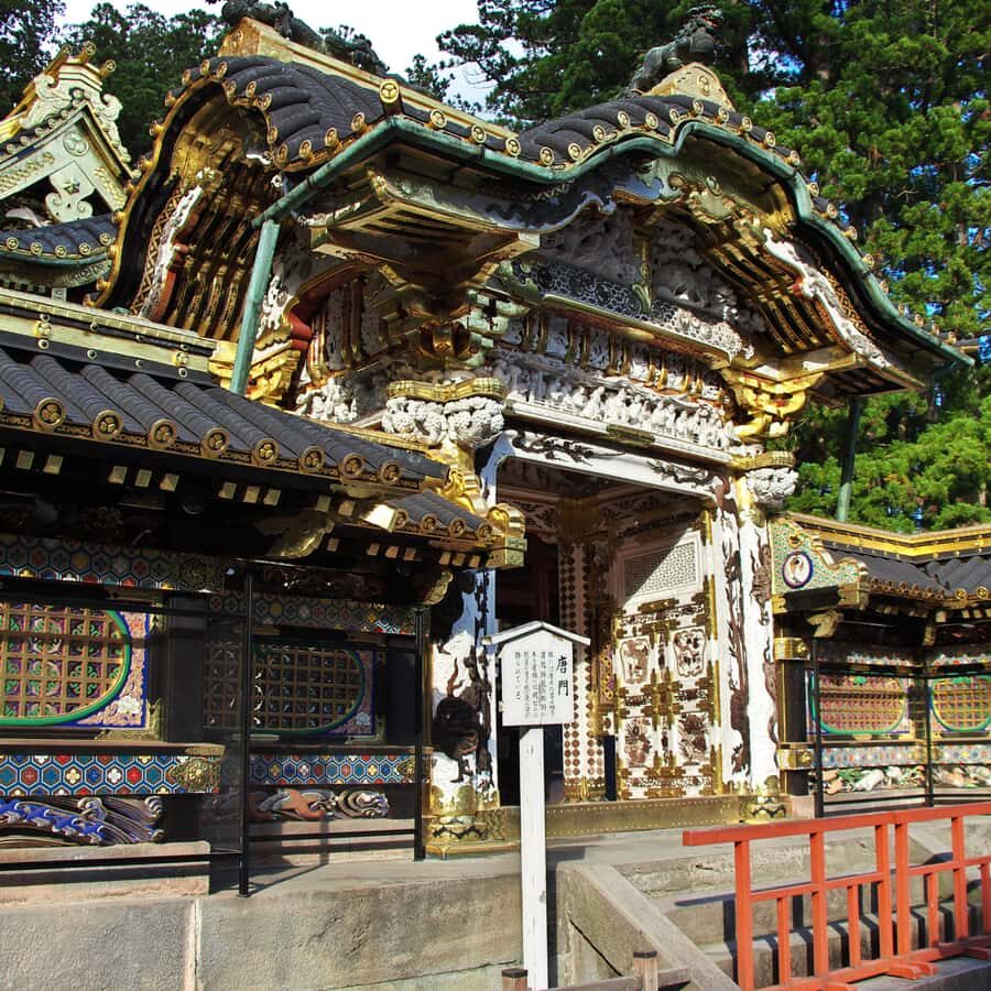 Nikko: Birdwatching Tour with Shrine and Temple Visit - Why This Tour Offers Great Value