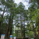 Nikko: Full-Day Private Tour with Local Lunch & Hotel Pickup - An In-Depth Look at What You Can Expect