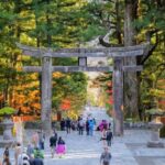 Nikko Full-Day Tour from Tokyo  UNESCO Shrine & Kegon Falls - Who Is This Tour Best For?