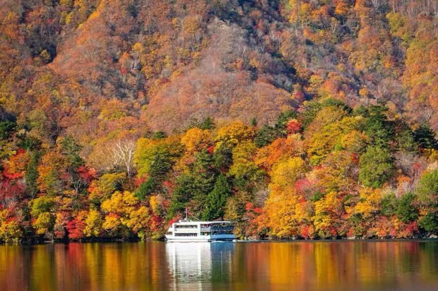 Nikko Full-Day Tour from Tokyo  UNESCO Shrine & Kegon Falls - Visiting Toshogu Shrine: A Masterpiece of Craftsmanship