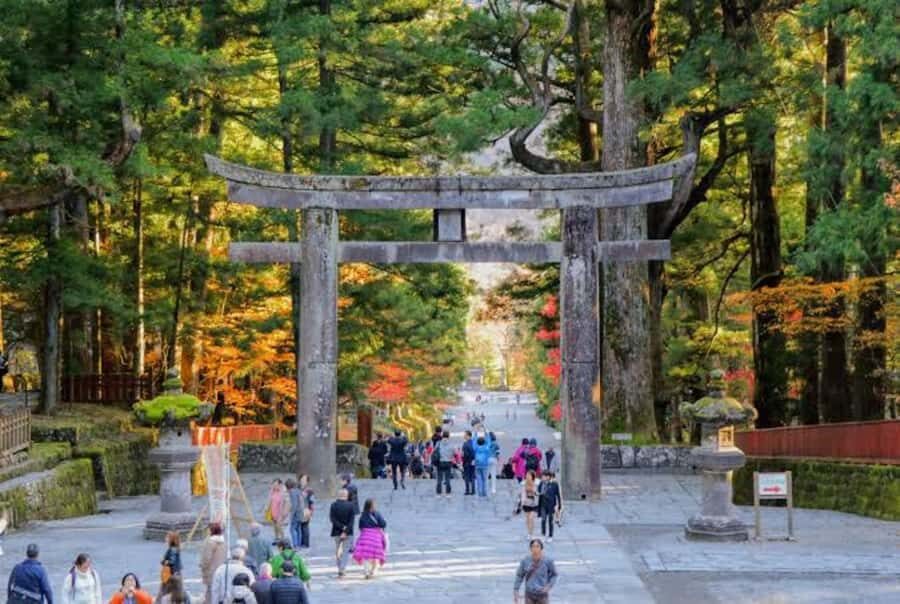 Nikko Full-Day Tour from Tokyo UNESCO Shrine & Kegon Falls - Who Is This Tour Best For?