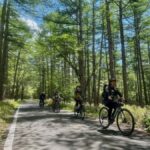 Nikko: Oku-Nikko 3-hour Cycling Tour (Half-day) No lunch - The Detailed Itinerary