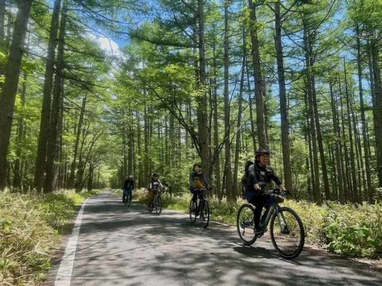 Nikko: Oku-Nikko 3-hour Cycling Tour (Half-day) No lunch - The Detailed Itinerary