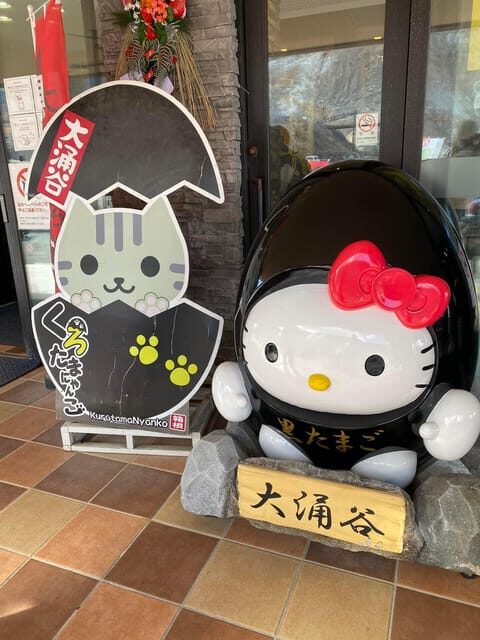 Nikko Private Day Tour with English Speaking Expert Driver - Price and Value: Is It Worth It?